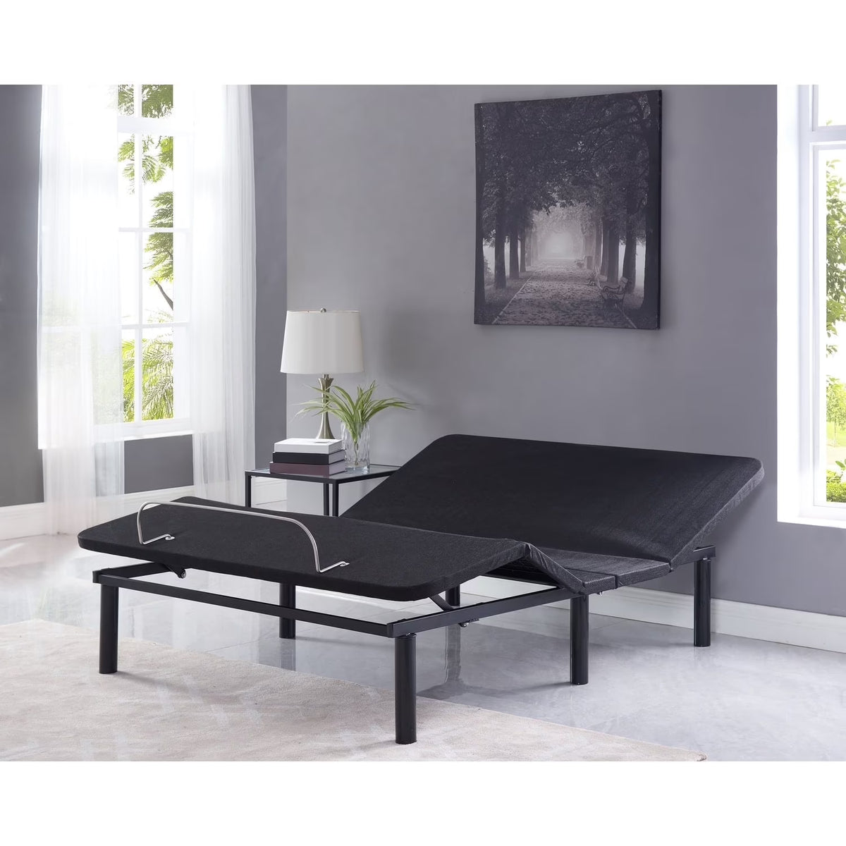 Naomi Home Twin XL Size Ergonomic Adjustable Bed Base with Basic Lumbar Support & Head Tilt, Back & Leg Massage, Wireless Remote, Assembly Needed - Twin XL, Gray