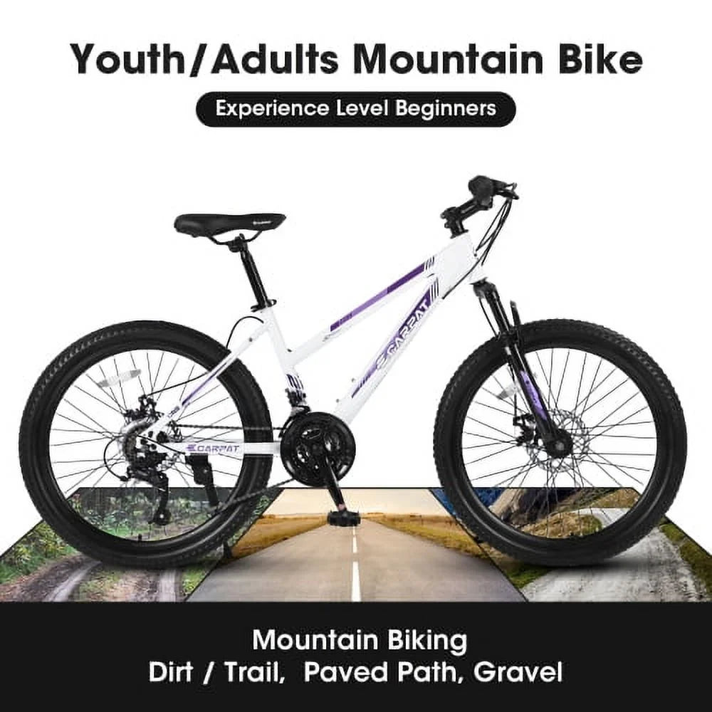 Raistyw Mountain Bikes for Adult, 24 inch Womens Bicycle Shimano 21 Speed with Dual Disc Brakes, Pink