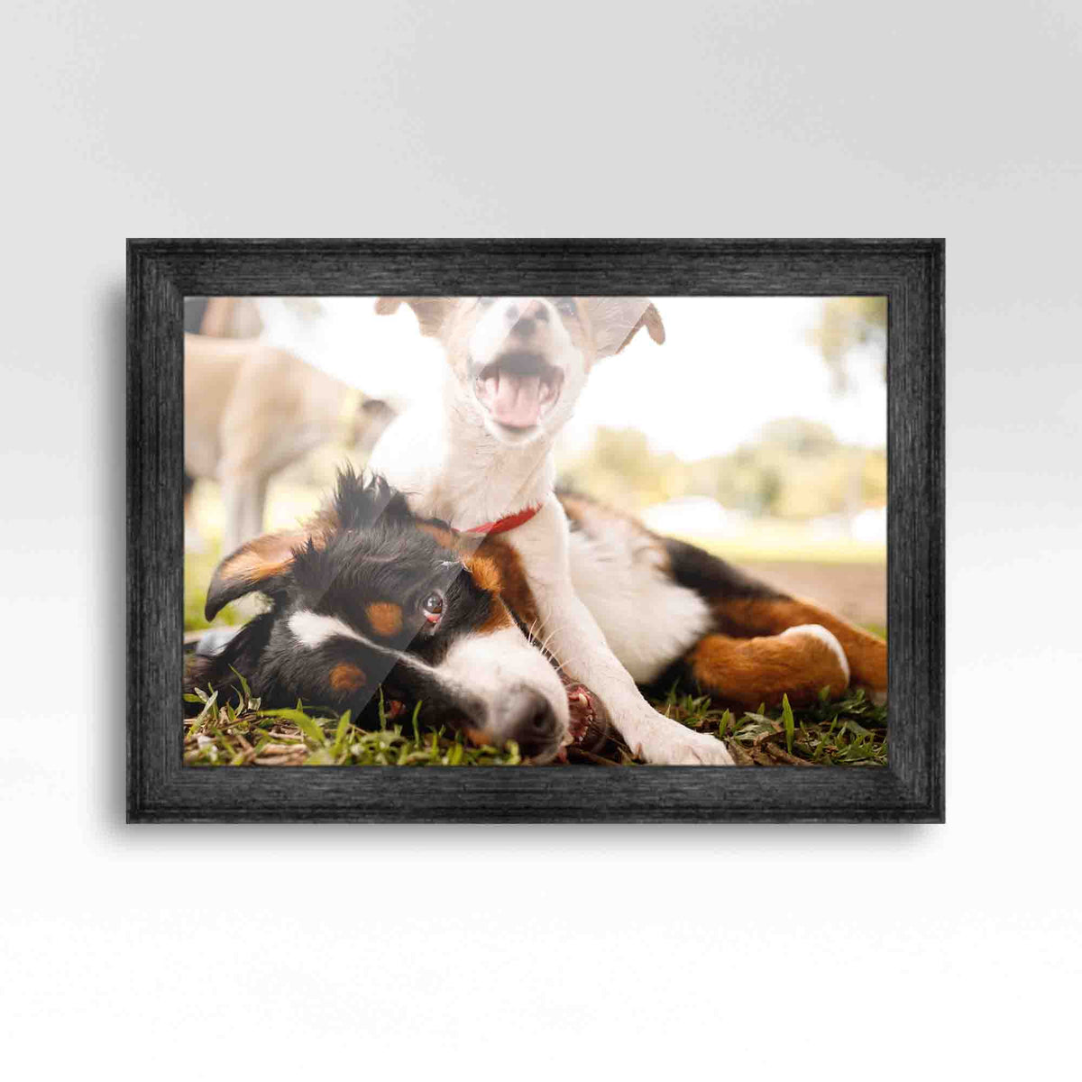 20x48 Frame Black Passaggi Solid Wood Picture Frame Width 1.5 Inches | Interior Depth 0.5 Inches |