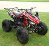RPS 125cc ATV Rider 8 Big Tire