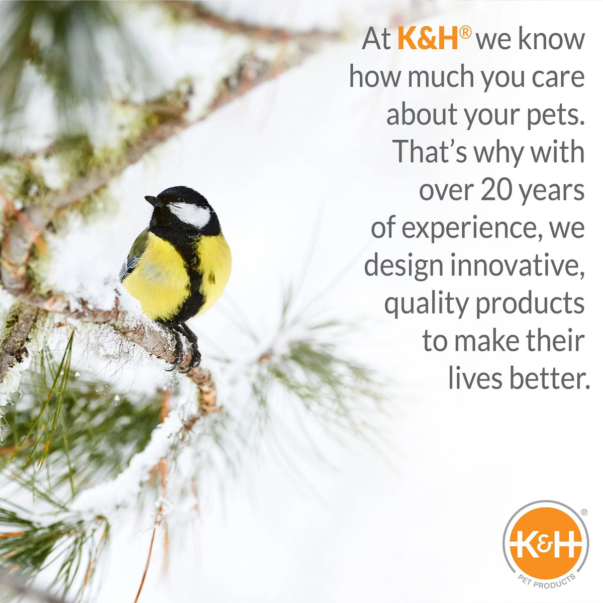K&H Ice Eliminator Bird Bath Deicer