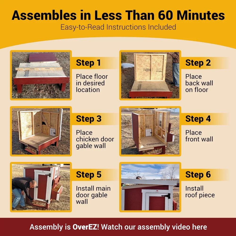OverEZ Chicken Coop - XL | Hatching Time