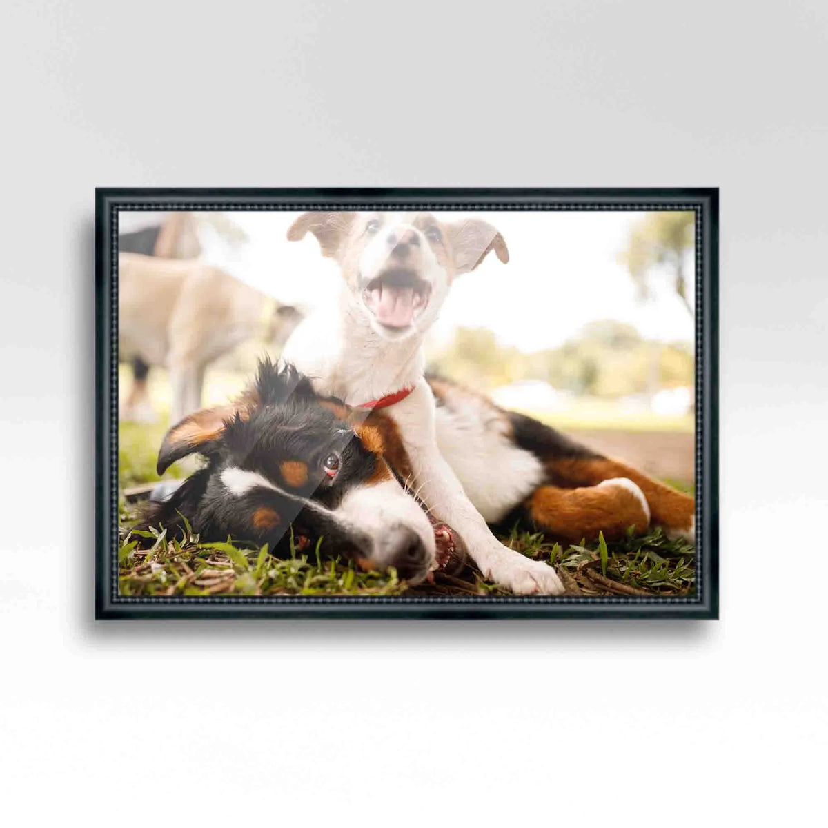 20x48 Frame Black Passaggi Solid Wood Picture Frame Width 1.5 Inches | Interior Depth 0.5 Inches |