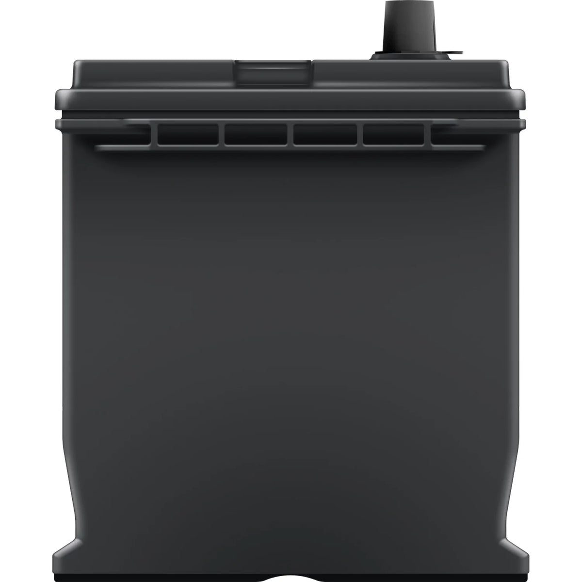 EverStart Maxx Lead Acid Automotive Battery, Group Size 124R 12 Volt, 700 CCA