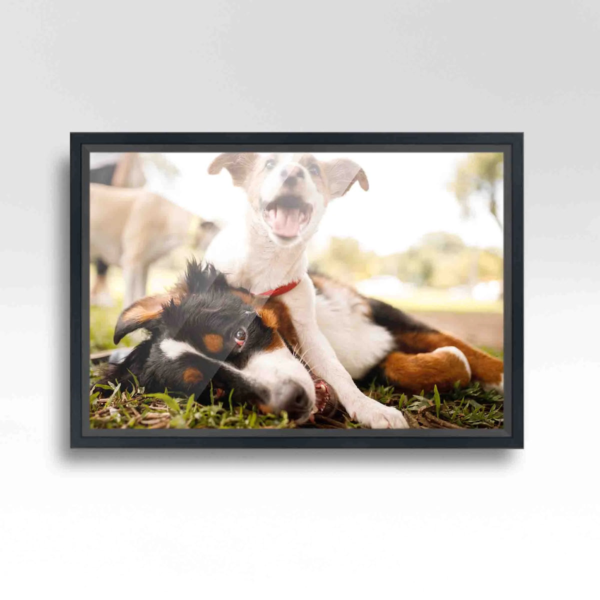 20x48 Frame Black Passaggi Solid Wood Picture Frame Width 1.5 Inches | Interior Depth 0.5 Inches |
