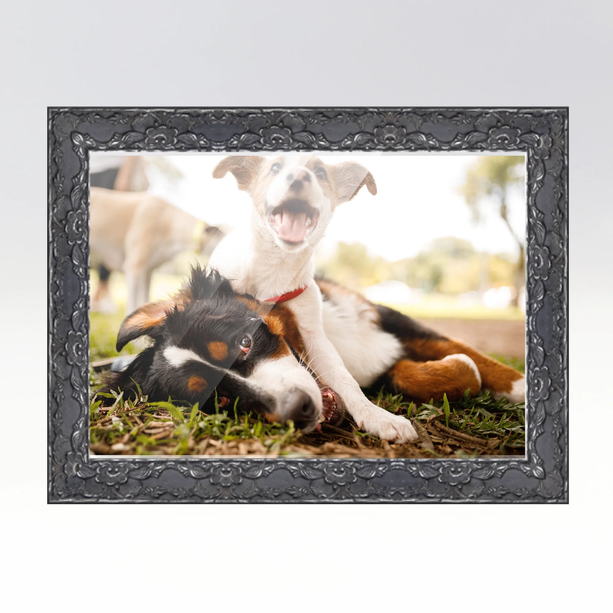 20x48 Frame Black Passaggi Solid Wood Picture Frame Width 1.5 Inches | Interior Depth 0.5 Inches |