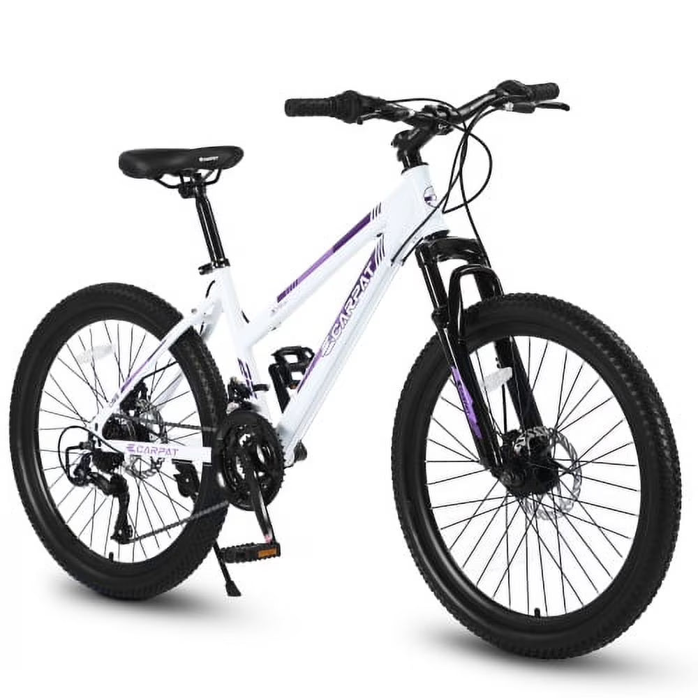 Raistyw Mountain Bikes for Adult, 24 inch Womens Bicycle Shimano 21 Speed with Dual Disc Brakes, Pink