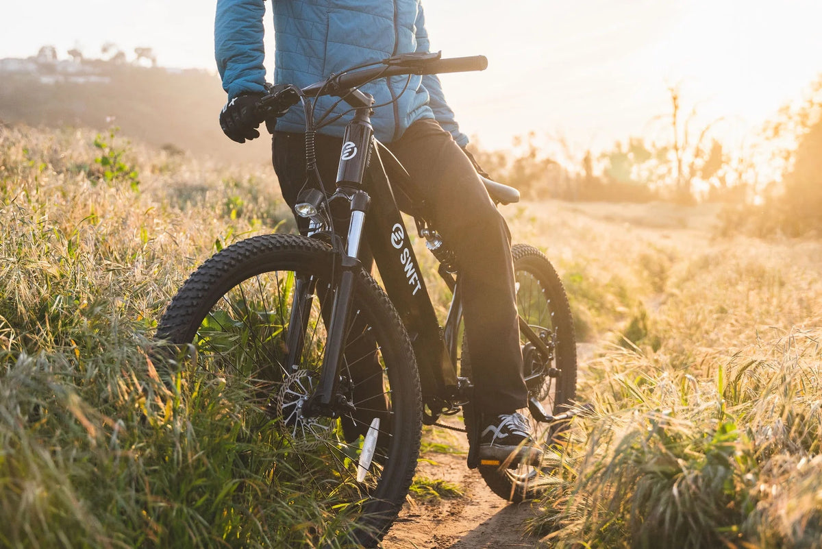 SWFT APEX Deluxe Electric Mountain Bike