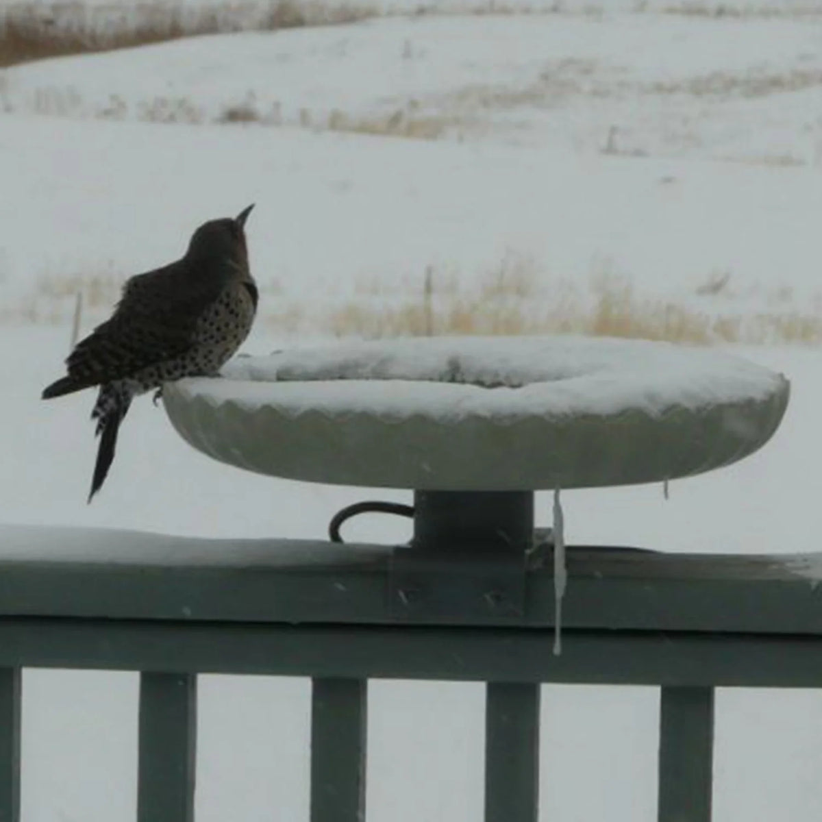 Farm Innovators Outdoor Heated Bird Bath, 120W Stone Birdbath w/ Deck Mount