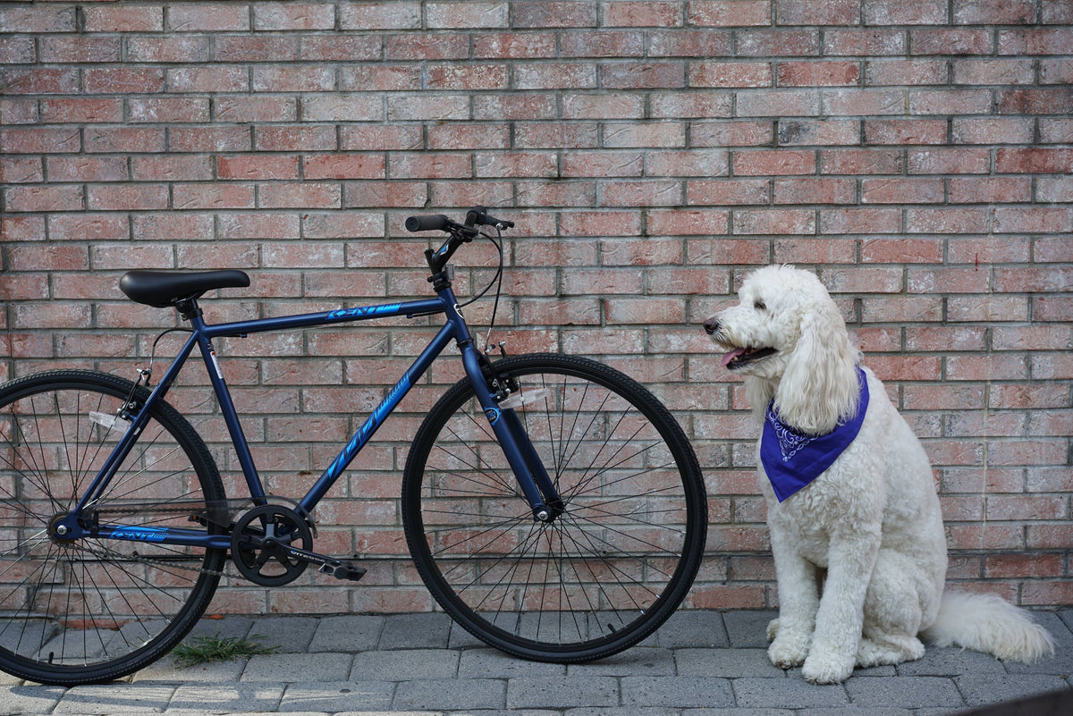 700c Thruster Fixie Men's Bike, Blue
