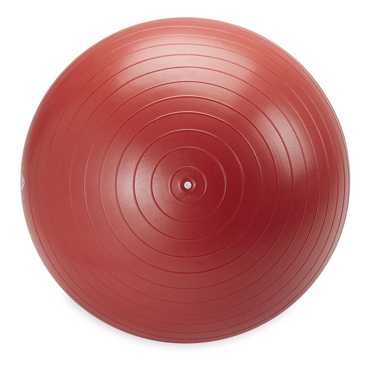 Reebok 65cm Medium Weighted Stability Ball, Pump Included