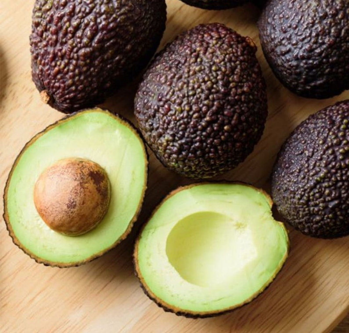 Super hass Avocado Tree Live Avocado Tree GRAFTED 2-4 ft tall. We ship to all states