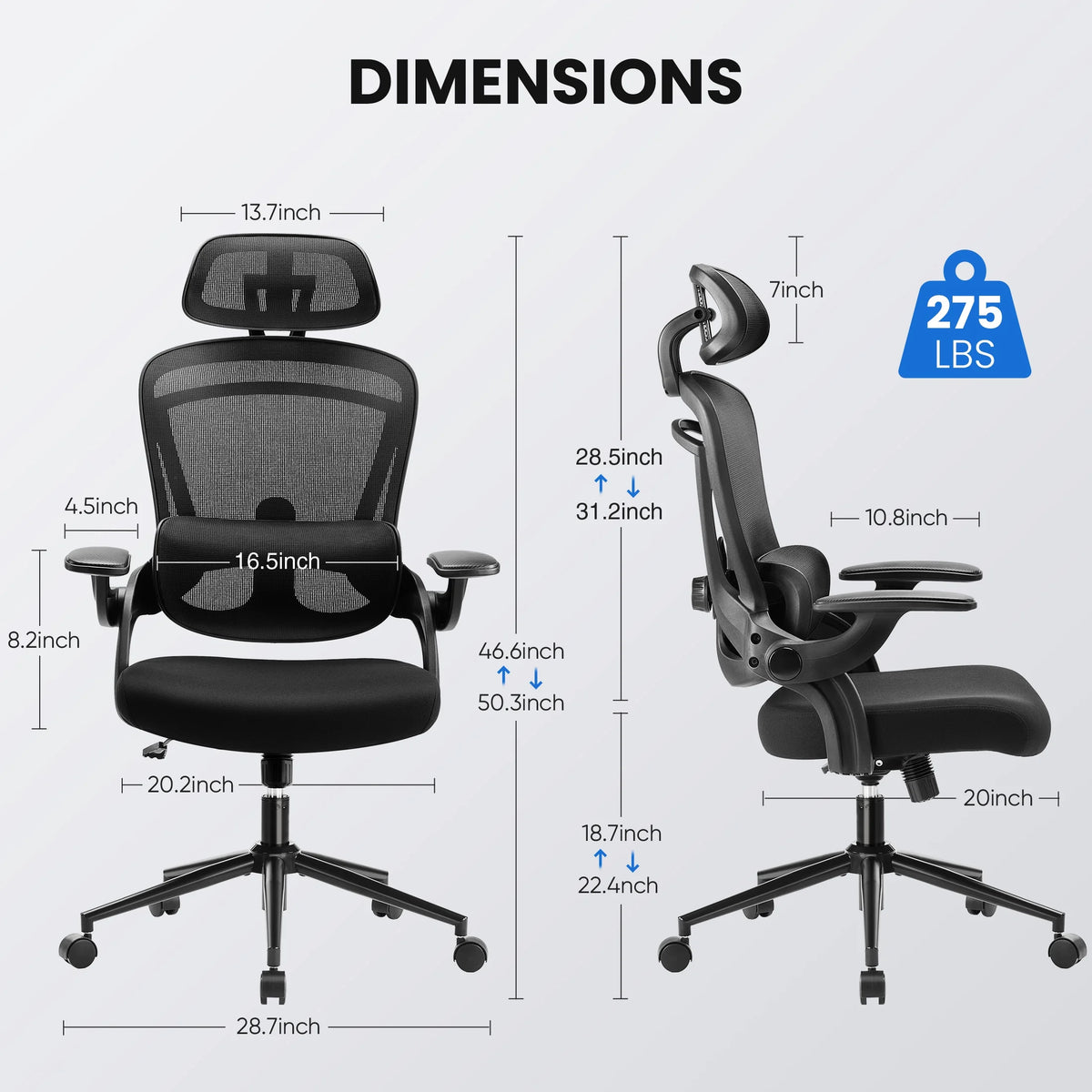 CONCETTA Ergonomic High Back Office Chair with Adjustable Lumbar Support, Headrest for Adults, Black