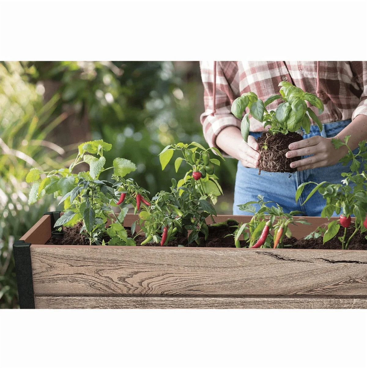 Keter Signature Collection 29 Gal. Resin Elevated Garden Bed