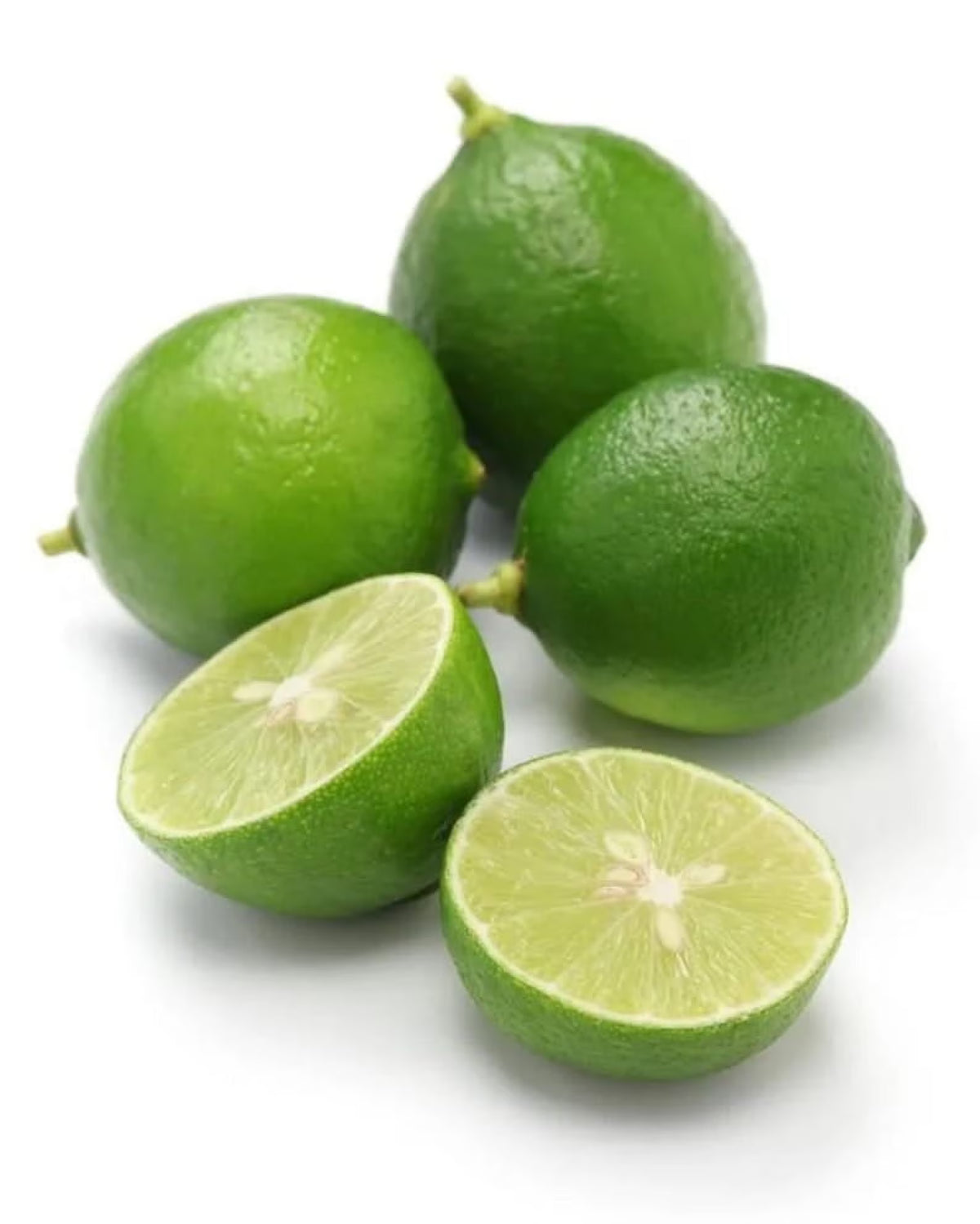 Persian lime tree grafted 1.5-3 ft. Ship to all states