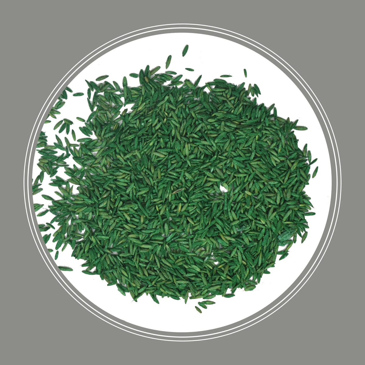 Pennington Southern Contractors Grass Seed Mix, for Sun to Partial Shade, 40 lb. New Bag