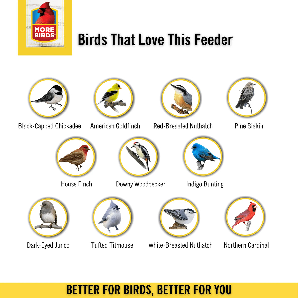 More Birds Giant Combo Screen Bird Feeder,10 lb Capacity, Brown