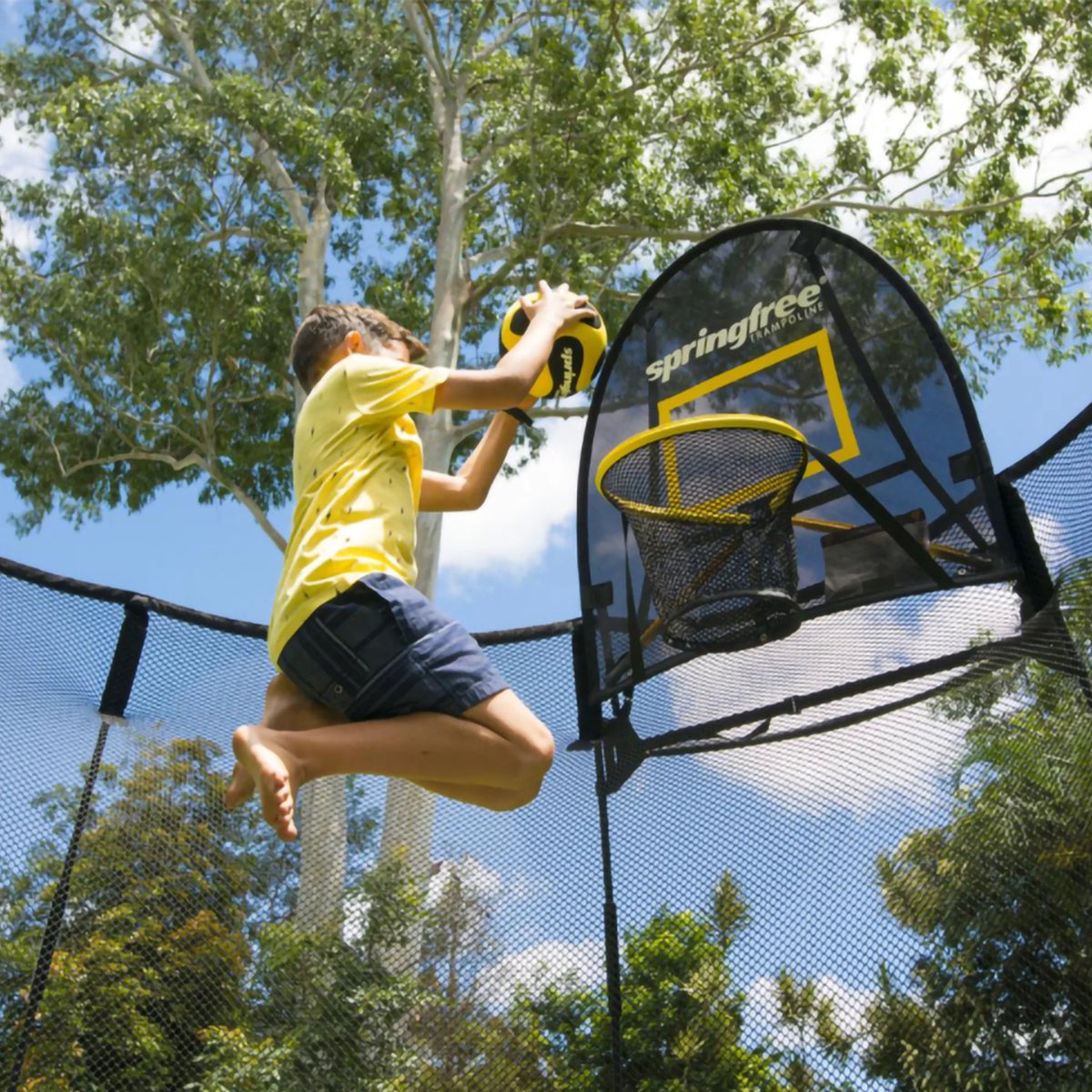 Springfree FlexrStep V2 Trampoline Ladder with Safety Lock, Silver/Black