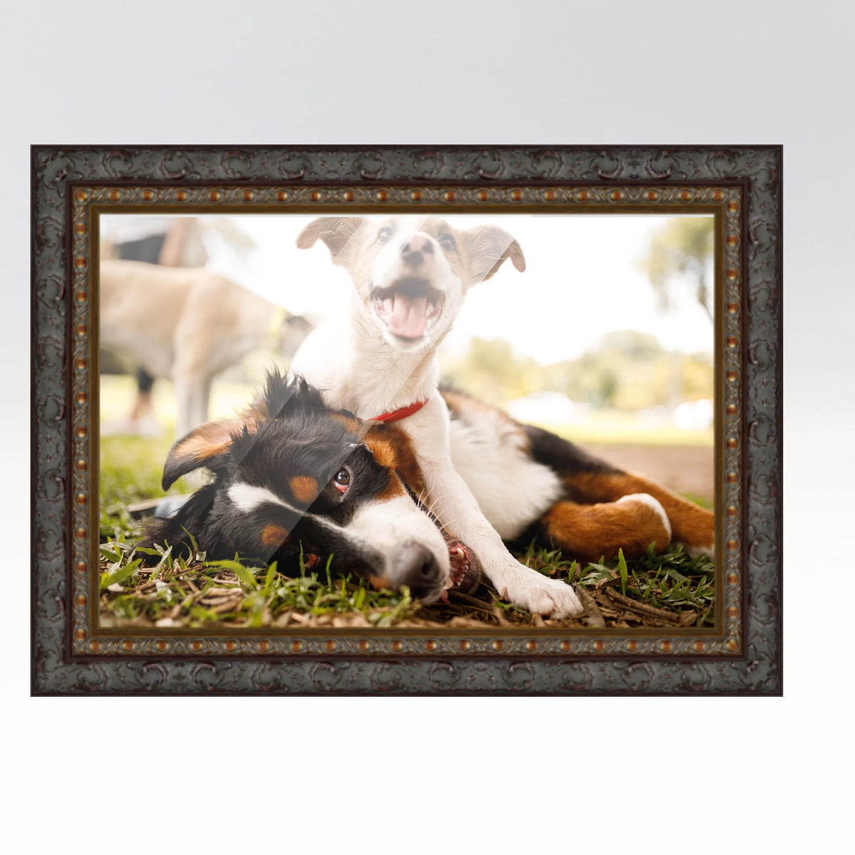 20x48 Frame Black Passaggi Solid Wood Picture Frame Width 1.5 Inches | Interior Depth 0.5 Inches |