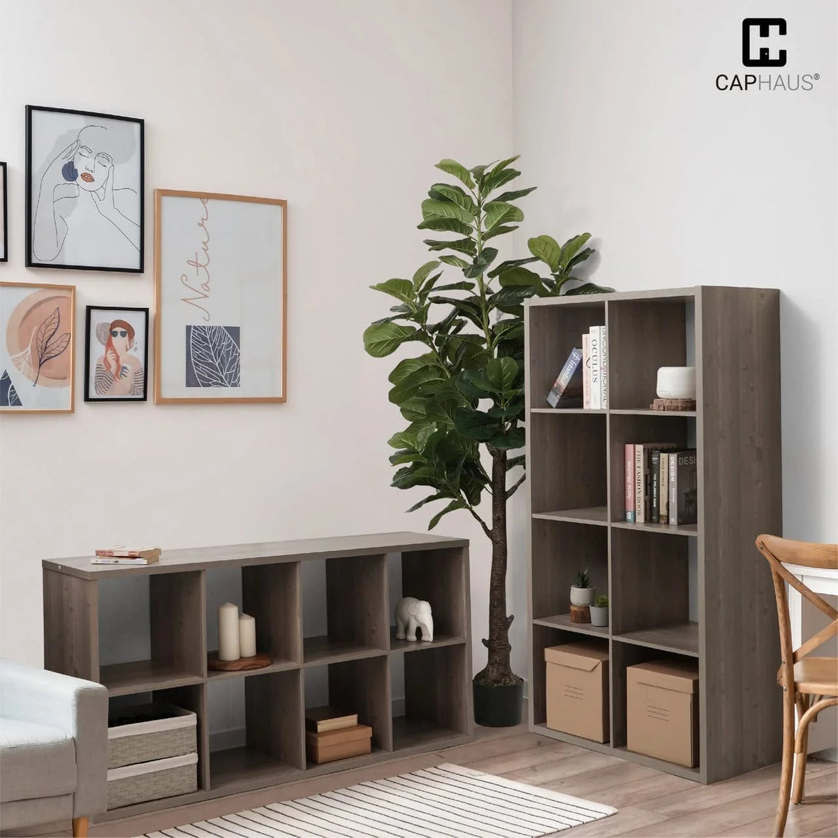 CAPHAUS Sturdy Room 13-Inch Cube Storage Organizer Shelf, with Extra Thick Exterior Edge, Open Storage Shelf Divider, Bookcase, 8-Cube, White