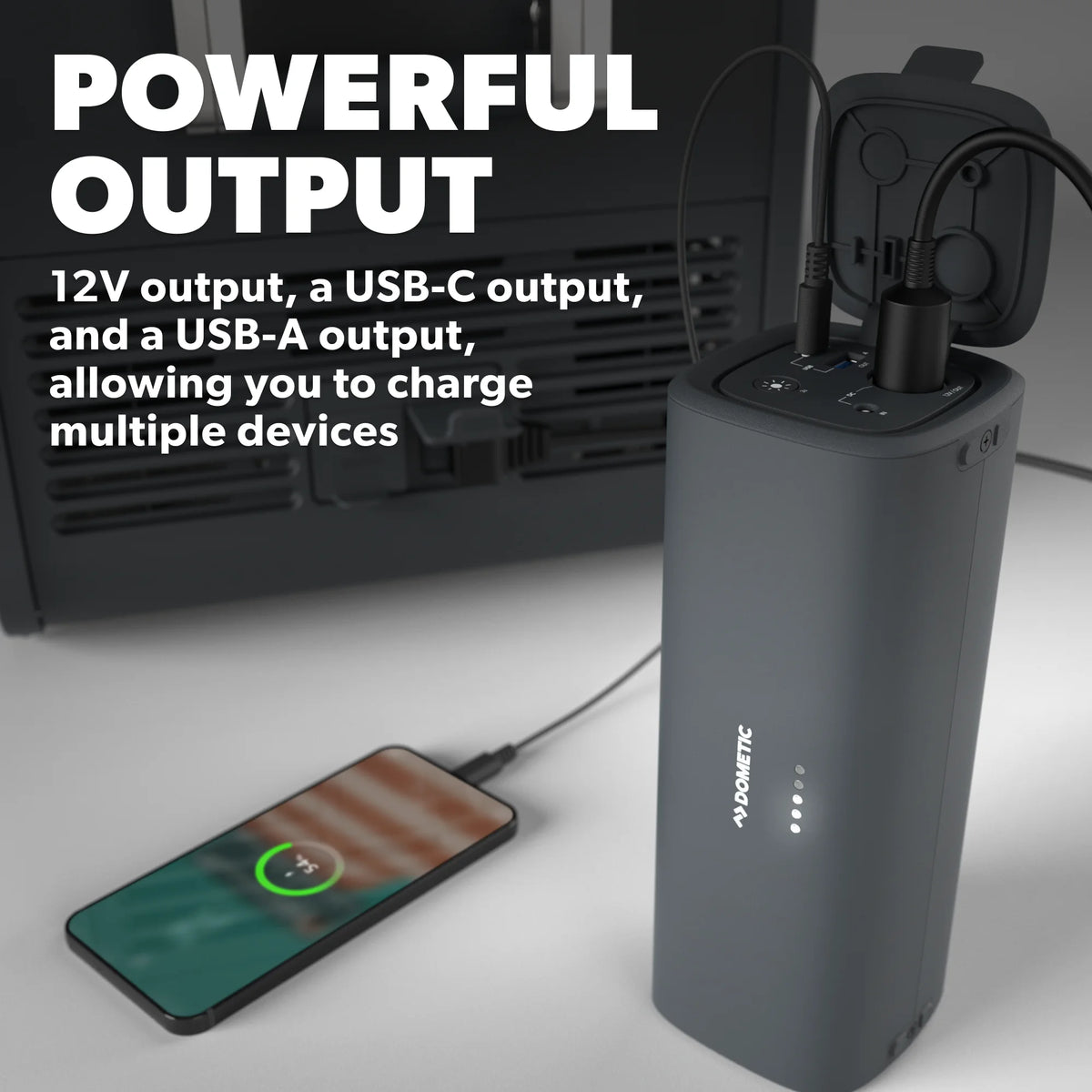 Dometic PLB15 Portable Battery Portable Lithium Iron Phosphate Battery with Flashlight, 15Ah