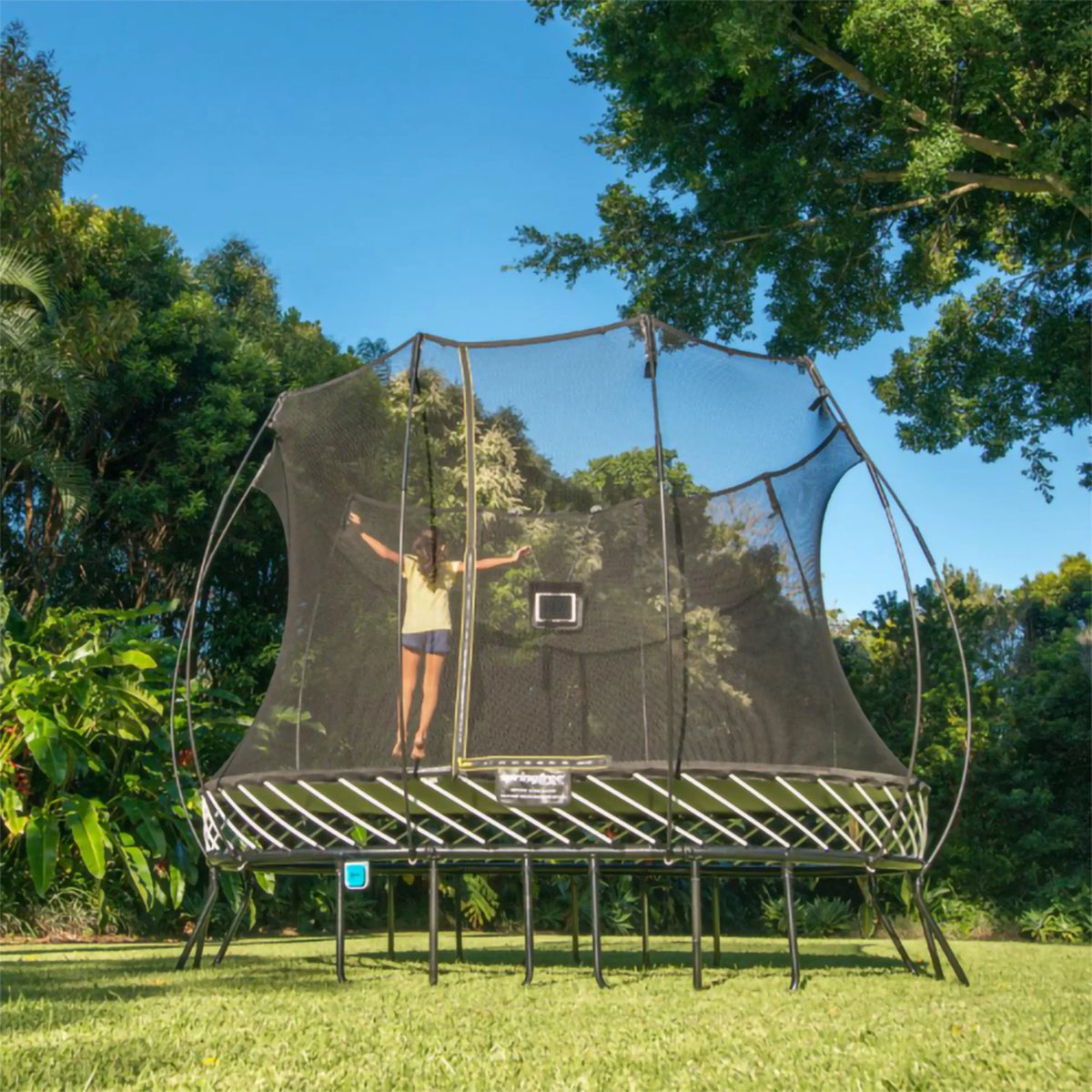 Springfree FlexrStep V2 Trampoline Ladder with Safety Lock, Silver/Black
