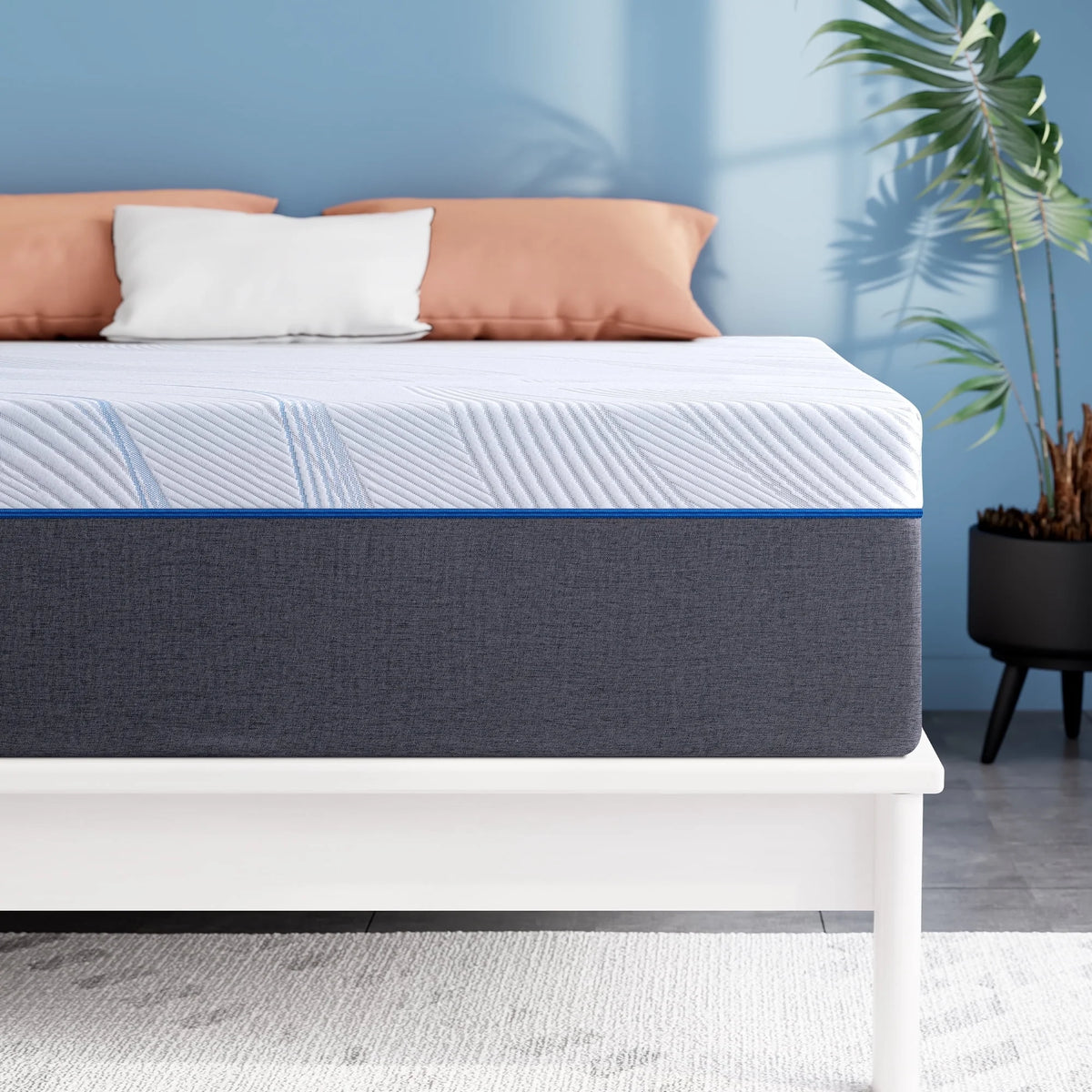 Queen Mattress, 10" Lecuneey Queen Memory Foam Mattress in a Box