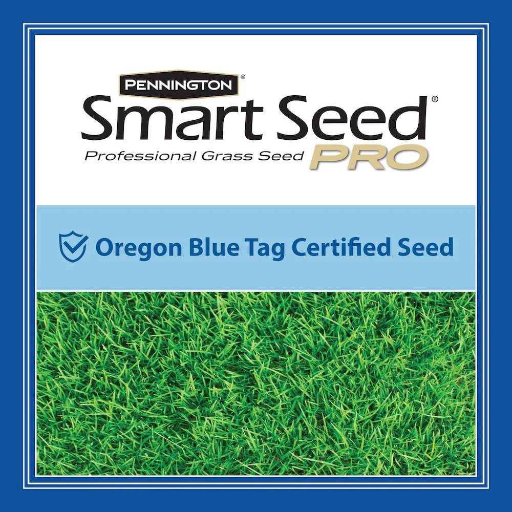 Pennington Smart Seed Pro Tall Fescue & Bluegrass Mix Grass Seed, 50lb