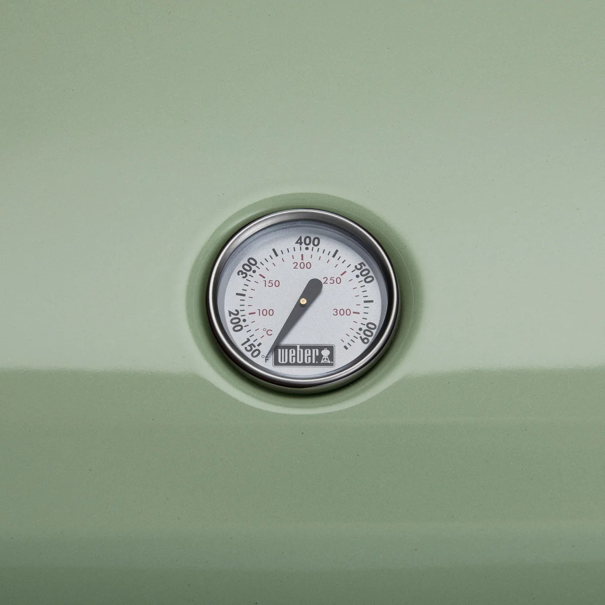 Weber Lumin Electric Grill Seafoam Green