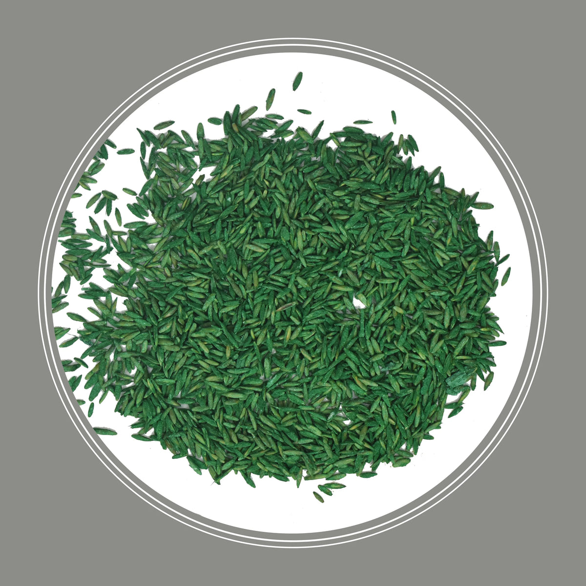 Pennington Contractors Northern Grass Seed Mix, for Sun to Partial Shade, 40 lb.