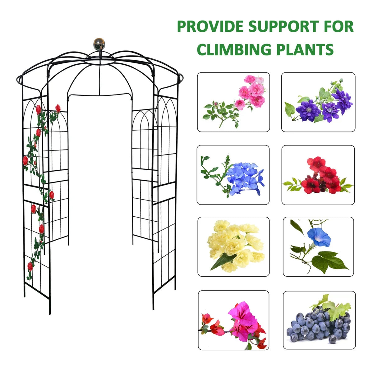 French Birdcage Gazebo with Metal Arch Trellis for Wedding Photography & Garden Decor, Sturdy Galvanized Steel, Black
