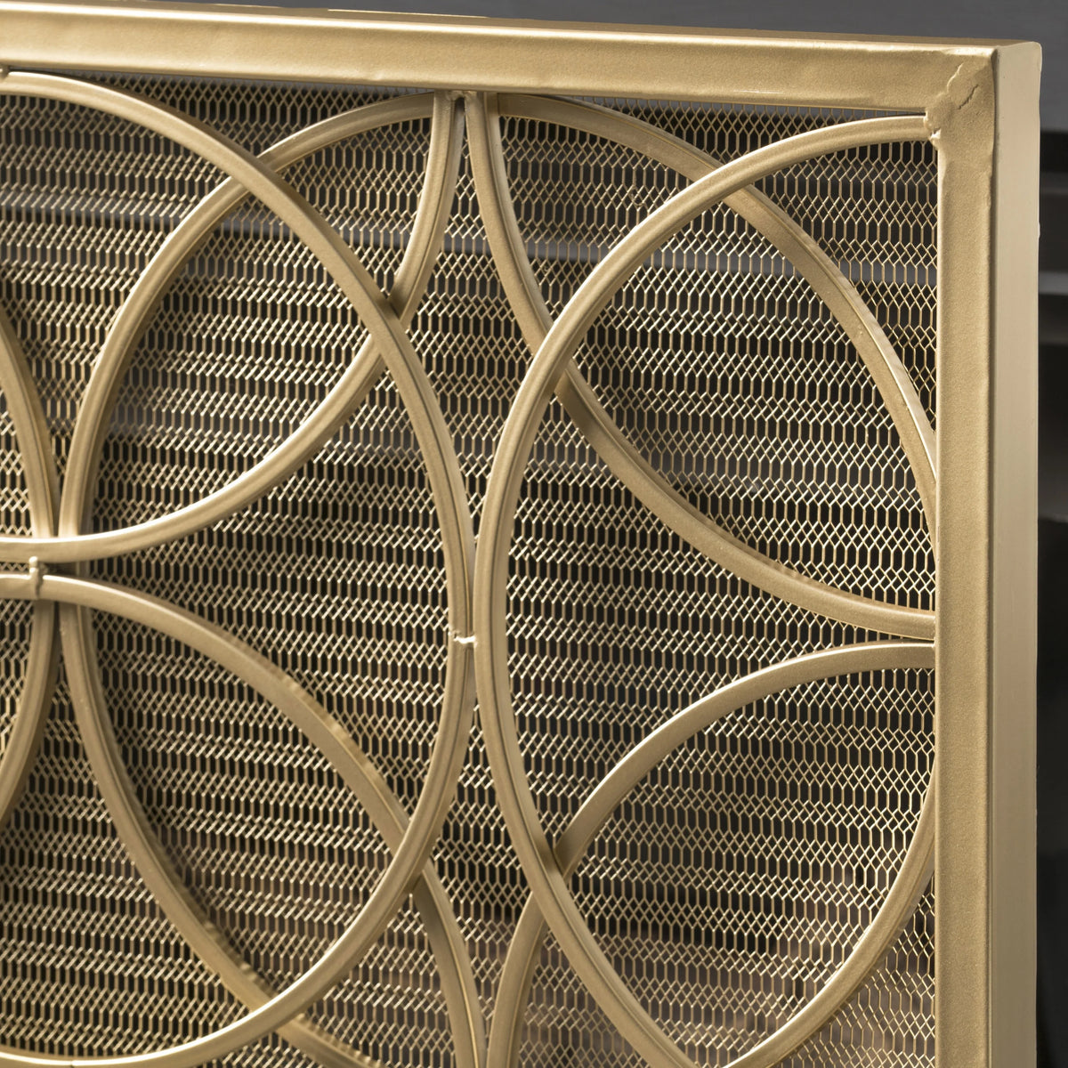 Noble House Emmilou Iron Single Panel Fireplace Screen, Gold