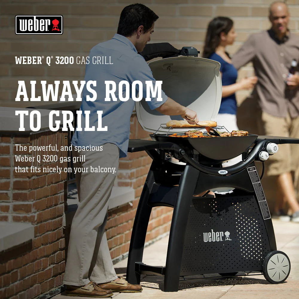 Q 3200 Liquid Propane Gas Grill in Titanium