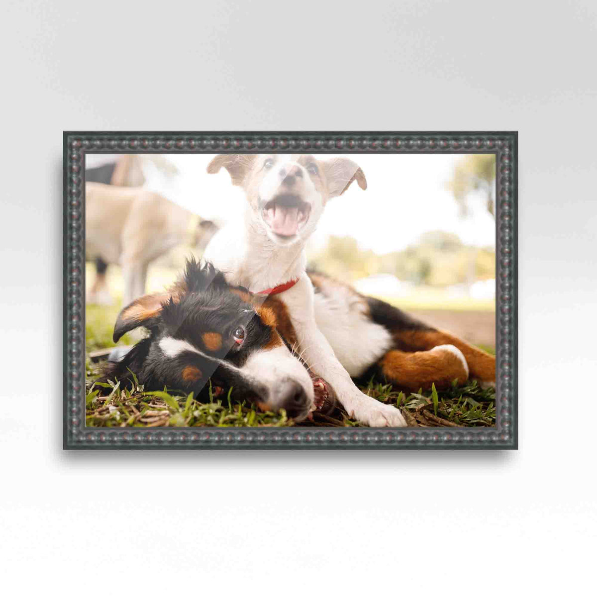 20x48 Frame Black Passaggi Solid Wood Picture Frame Width 1.5 Inches | Interior Depth 0.5 Inches |