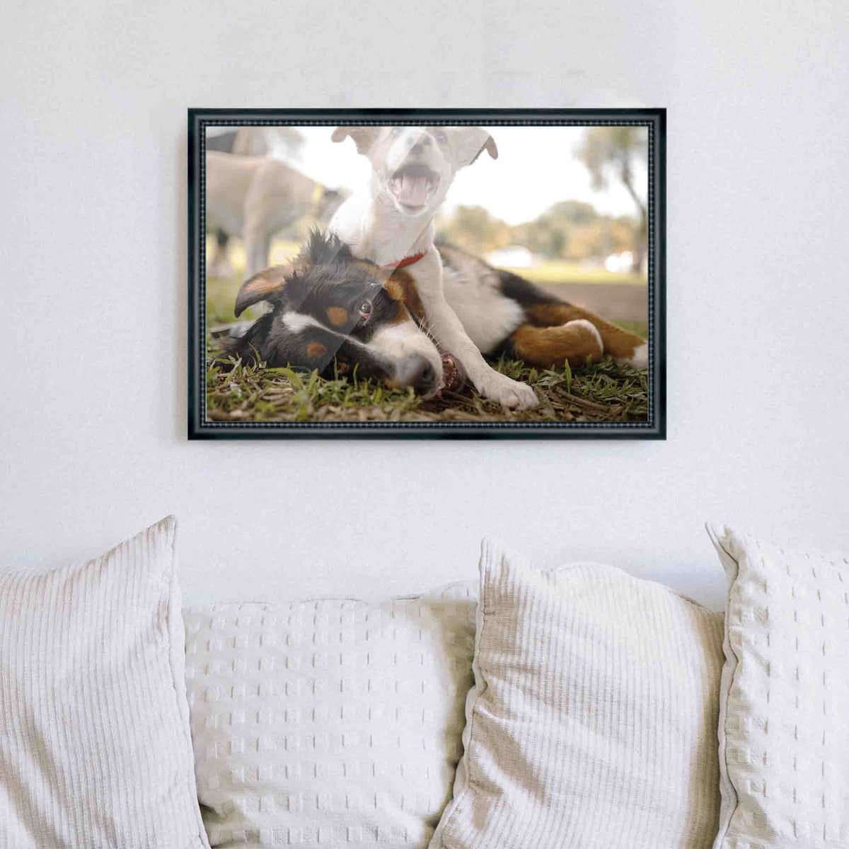 20x48 Frame Black Passaggi Solid Wood Picture Frame Width 1.5 Inches | Interior Depth 0.5 Inches |