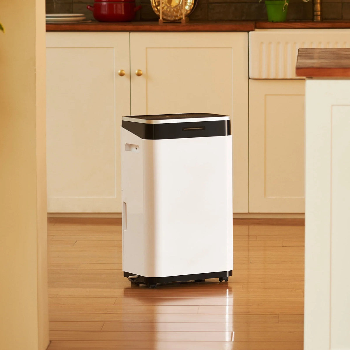 Preenex Dehumidifier with Drain Hose 24 hr Timer Auto Shutoff 50 Pint Capacity 13pt Tank