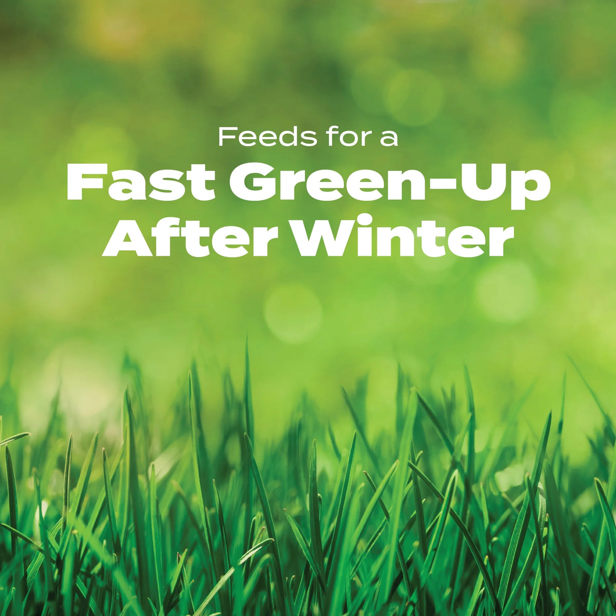 Scotts Turf Builder Halts Crabgrass Preventer with Lawn Food, 40.05 lb.