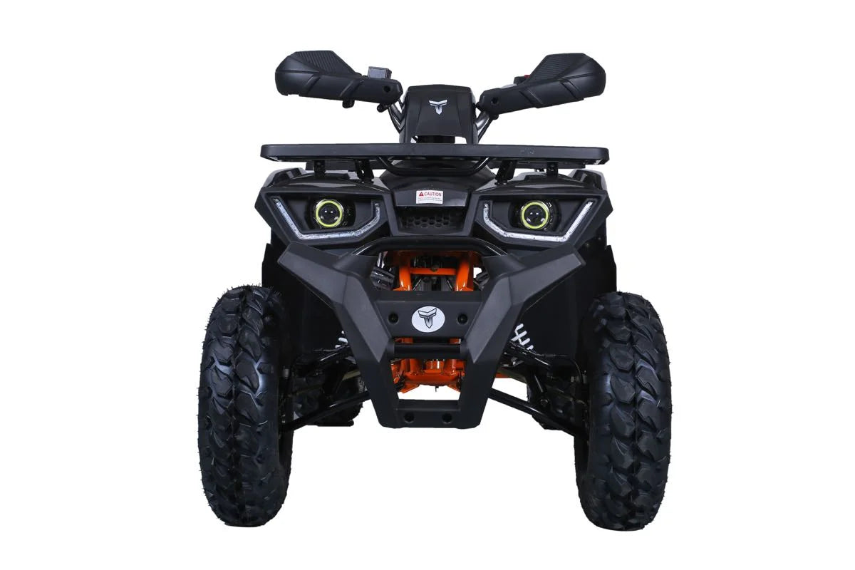 Tao Tao Raptor 200 169 cc ATV
