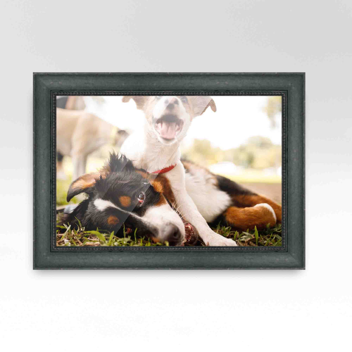 20x48 Frame Black Passaggi Solid Wood Picture Frame Width 1.5 Inches | Interior Depth 0.5 Inches |