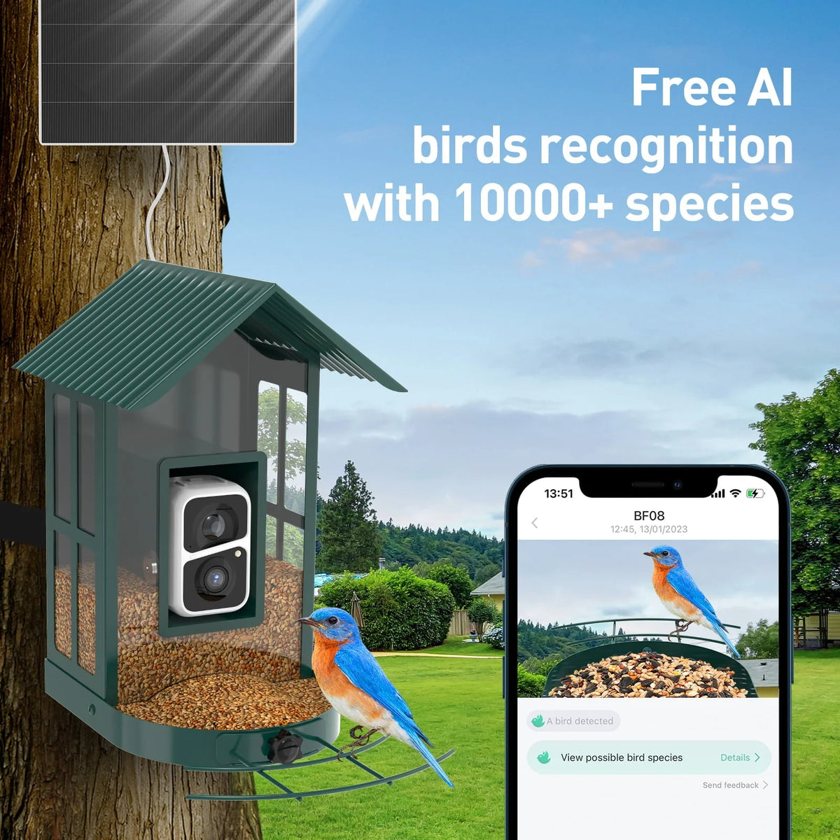 SOLIOM BF08 Smart Bird Feeder Camera with AI Identify Bird Species, Wild Bird Watching Cam, Live View, Instant Notifications, 5W Solar Panel -Metal Case