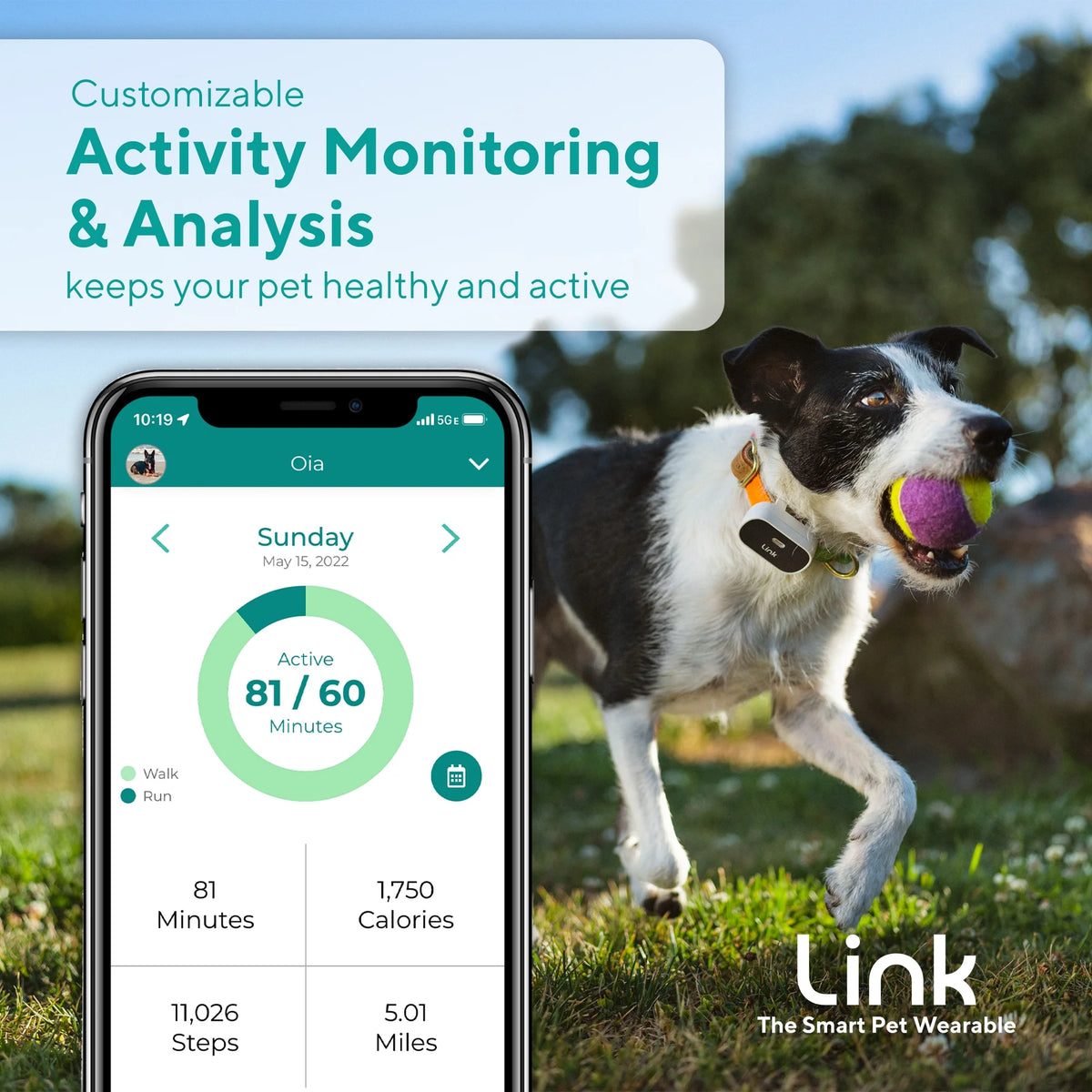 Link My Pet GPS Dog Tracker & Activity Monitor with Training Tools, Fits Any Collar