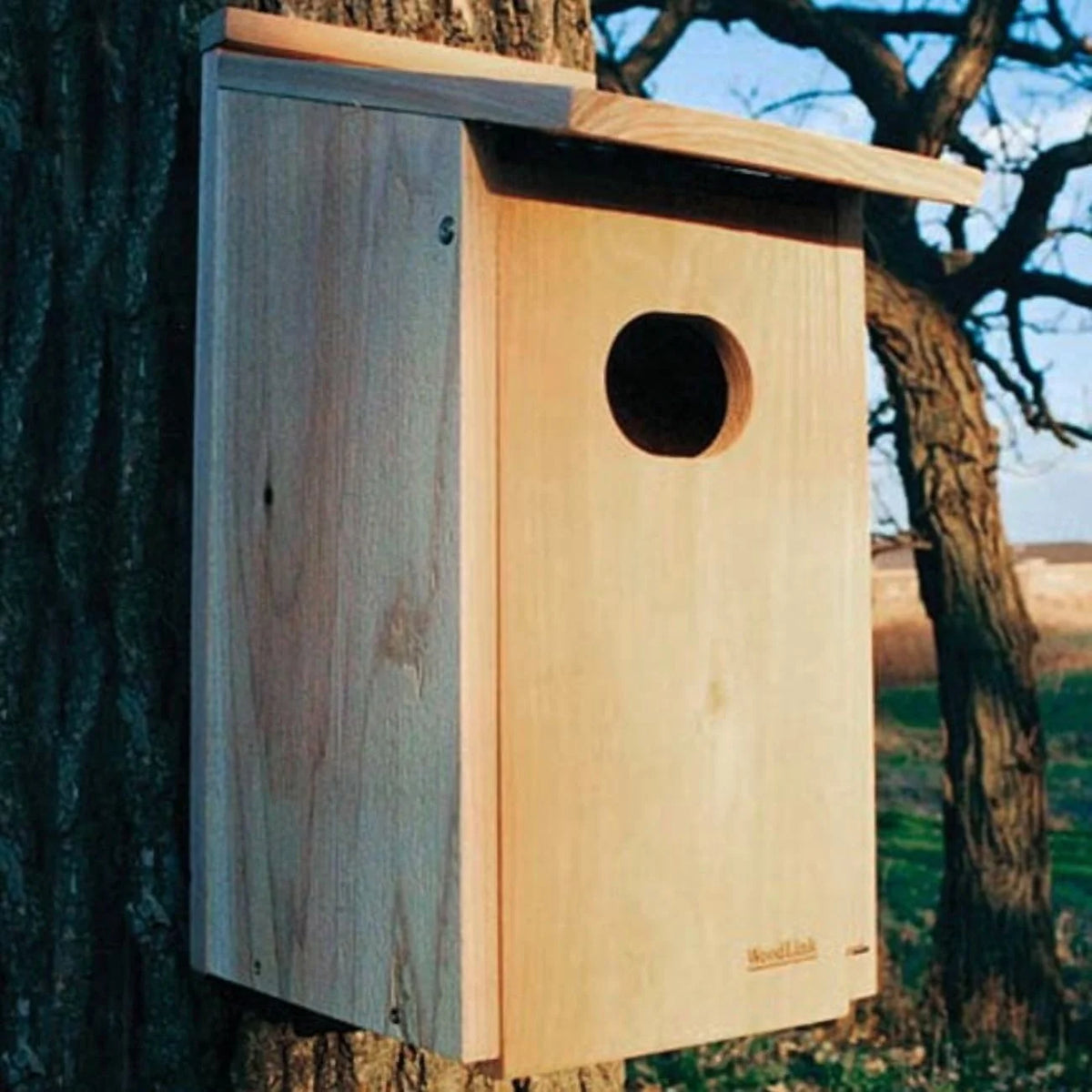 Audubon Wood Duck House