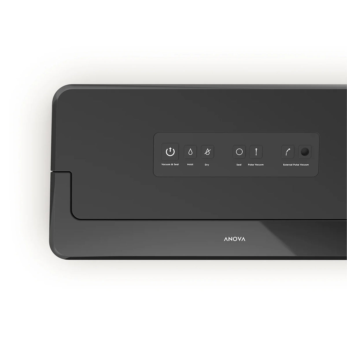 Anova Culinary Precision® Vacuum Sealer