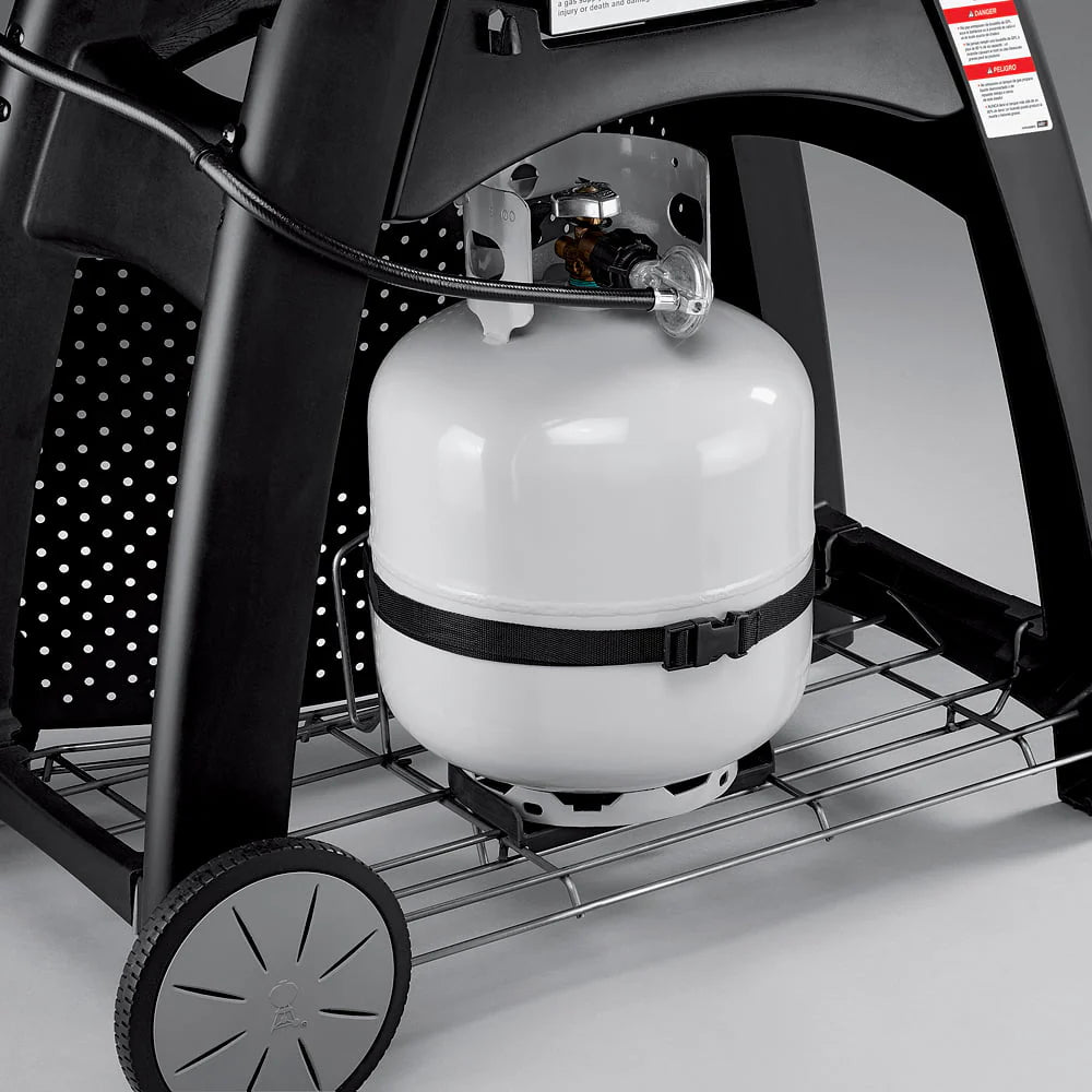 Q 3200 Liquid Propane Gas Grill in Titanium