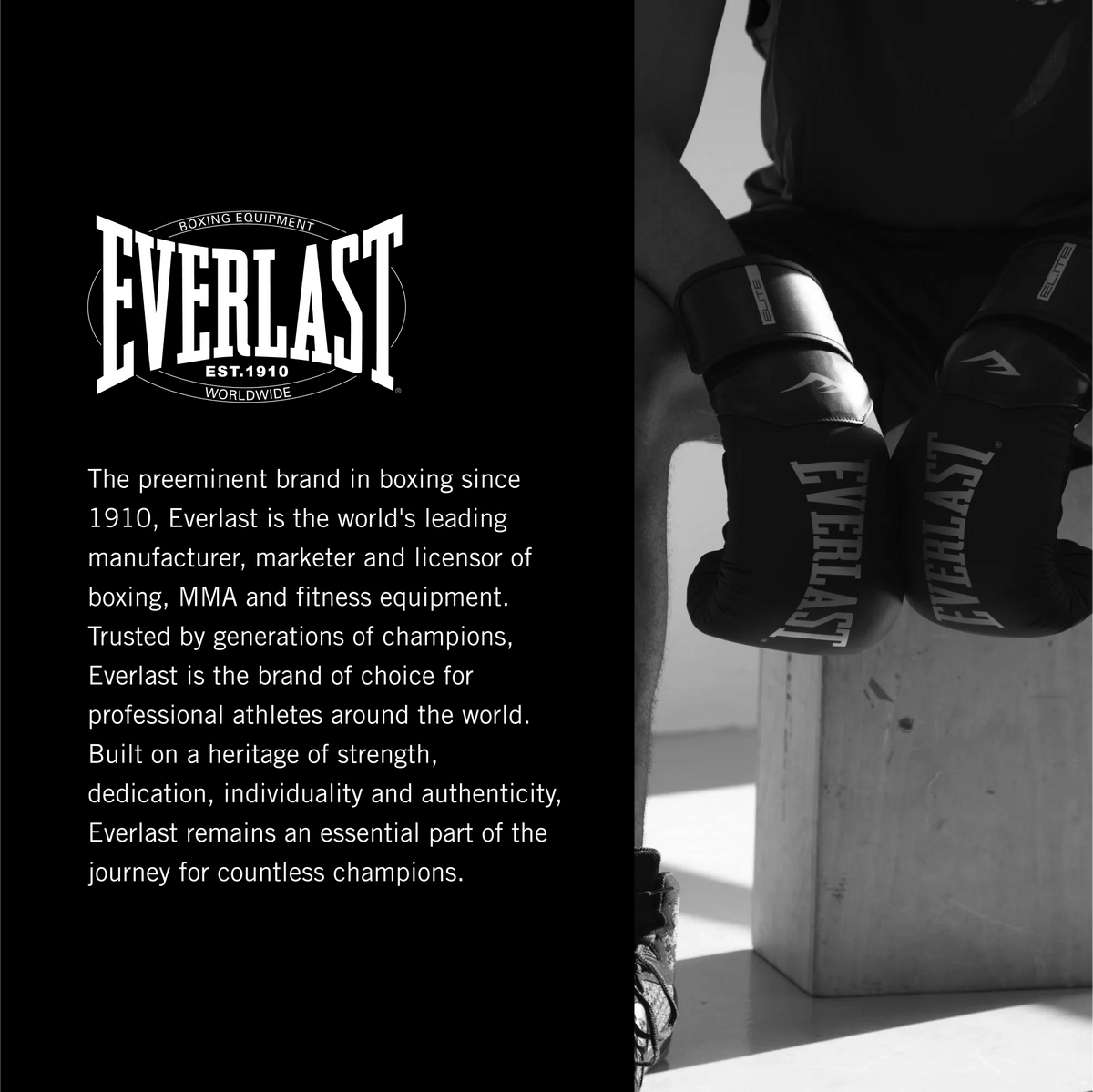 Everlast Powercore Heavy Bag, 80lb, Black/Gold – for Boxing, MMA & Fitness Training