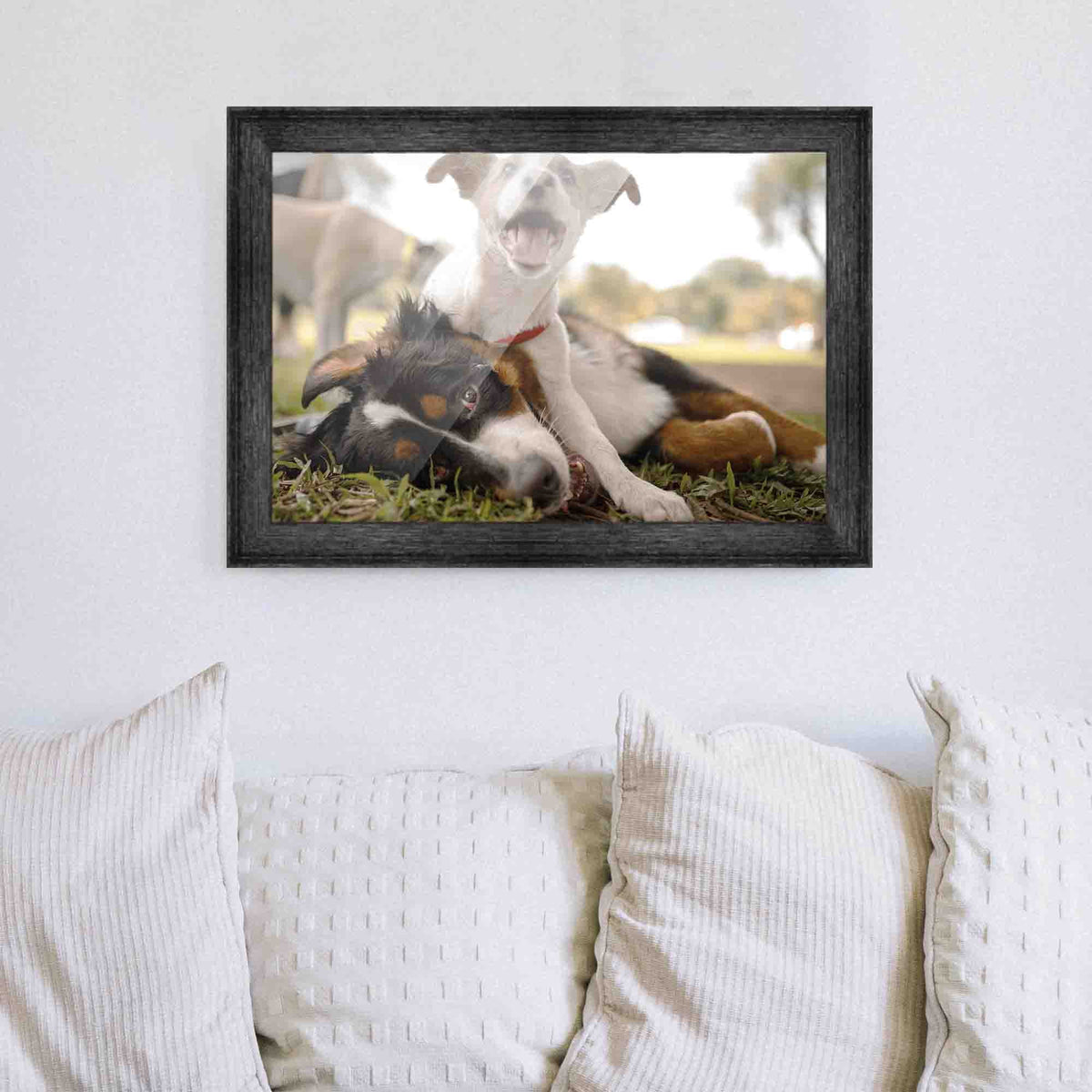 20x48 Frame Black Passaggi Solid Wood Picture Frame Width 1.5 Inches | Interior Depth 0.5 Inches |