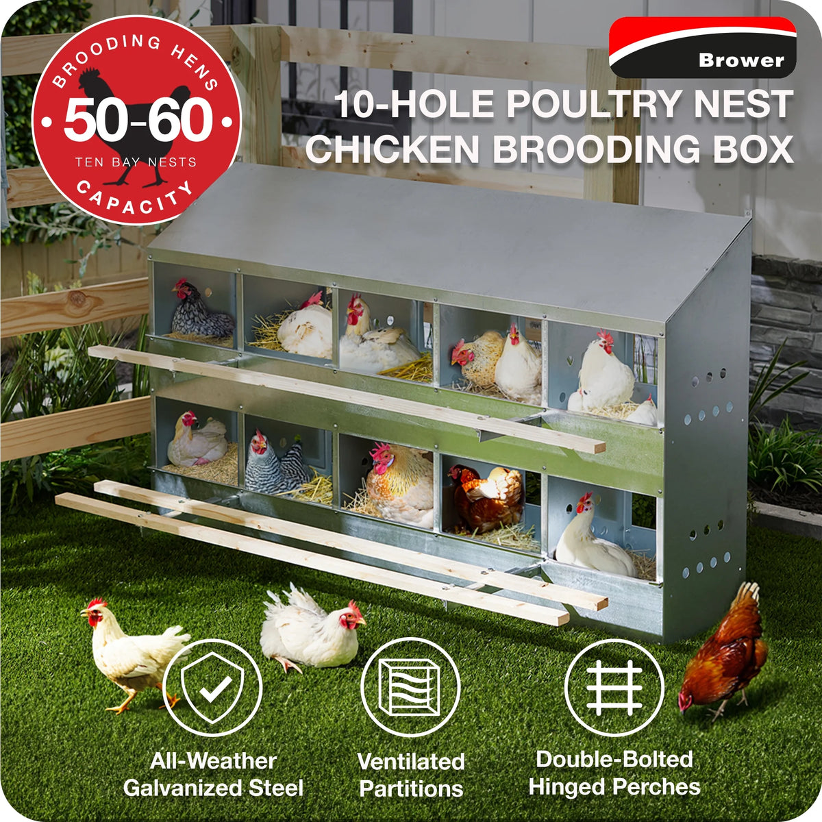 Brower Galvanized Steel 6 Hole 30 Bird Poultry Nest Chicken Brooding Box