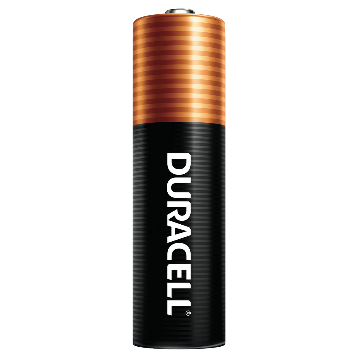 Duracell Coppertop Alkaline AA Batteries, 40-count