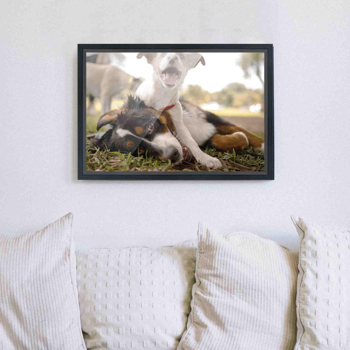 20x48 Frame Black Passaggi Solid Wood Picture Frame Width 1.5 Inches | Interior Depth 0.5 Inches |