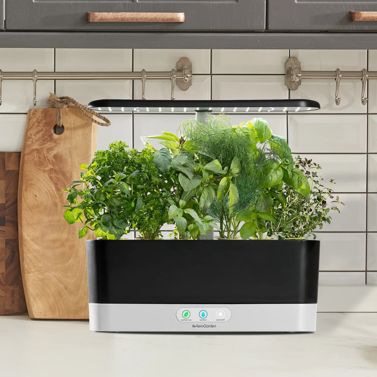 AeroGarden Harvest Slim with Gourmet Herb Seed Pod Kit, Black